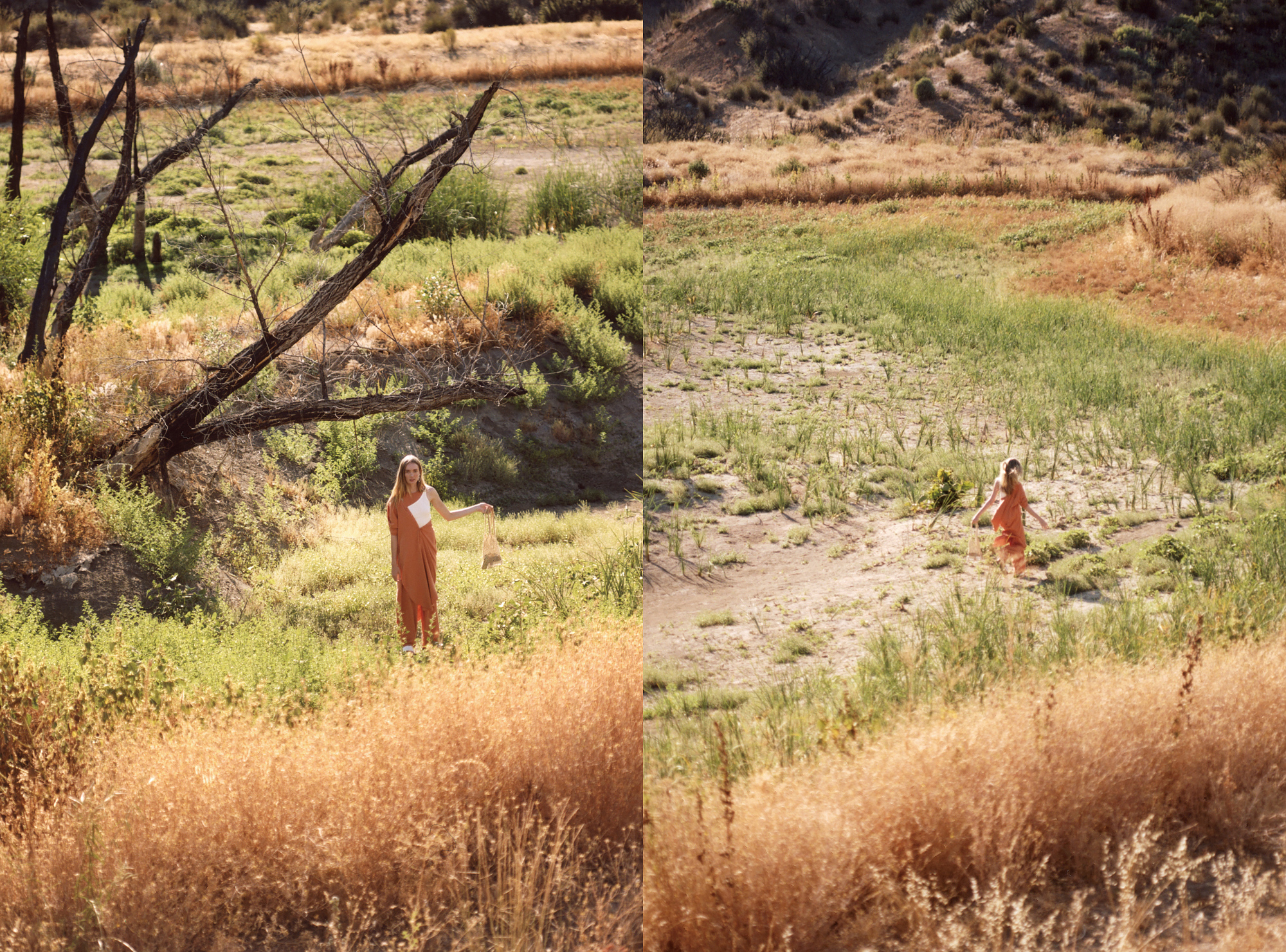 『ふらんす』2020年度版（2020年4月～2021年3月号） Sportster Custom Book（スポーツスター・カスタムブック） Vol